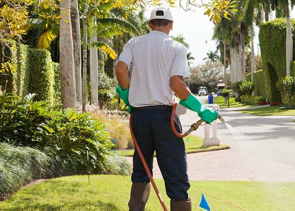About Cantil CA Pest Control